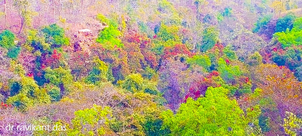 Tamtora Nature Camp