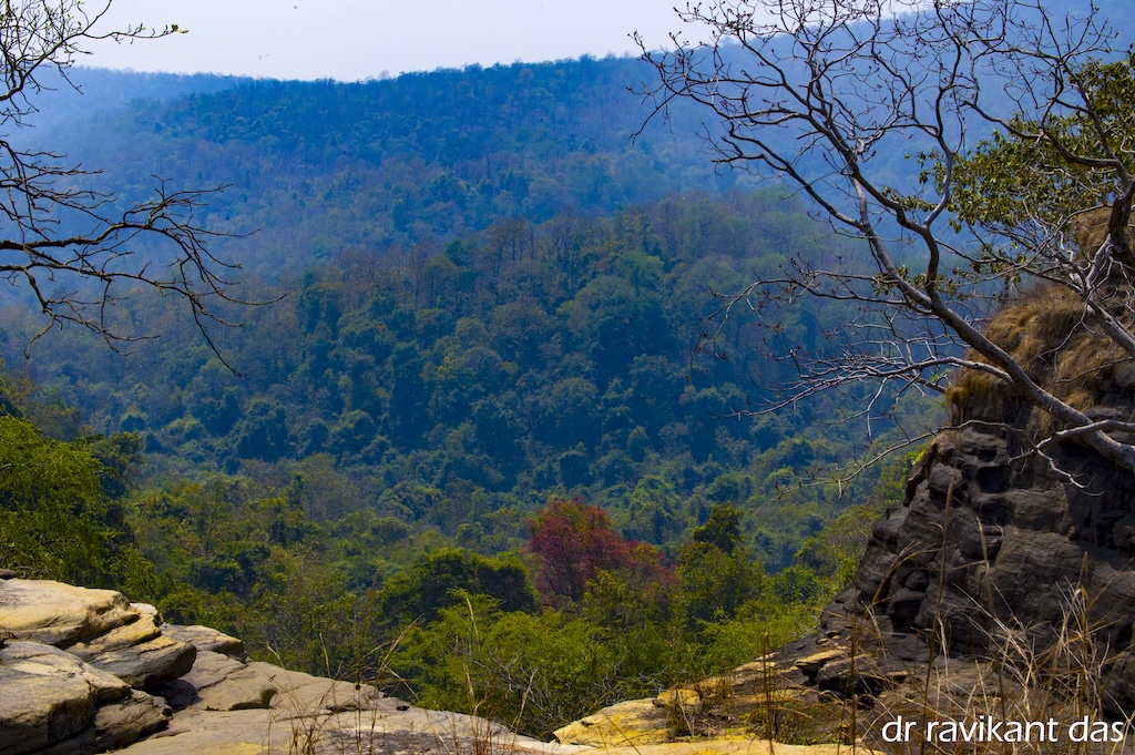 Rocky ridge overlooking the forests of Gomarda